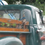 Chevrolet truckか！？慌ててCANON PowerShot G9で撮る