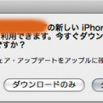 iPhone OS 3.0アクティベーションサーバーの不具合ののちに成功