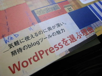 wordpress1