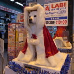 白戸家お父さんのクリスマス（2010年）